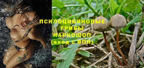 индика Баксан