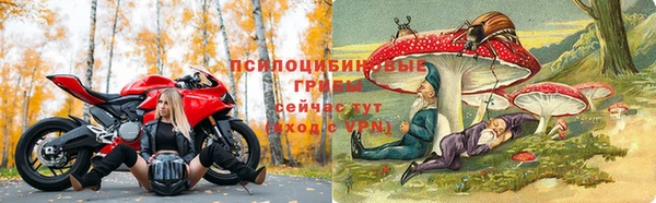 mdpv Россошь